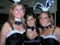 /album/gallery-7/bunnies-jpg/