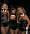/album/gallery-7/bunnies2-jpg/