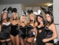 /album/gallery-7/bunnies3-jpg/